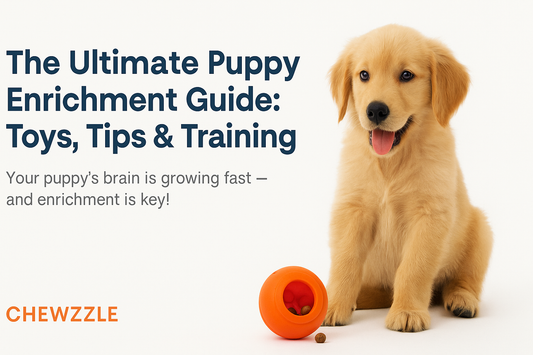 The Ultimate Puppy Enrichment Guide: Toys, Tips & Training