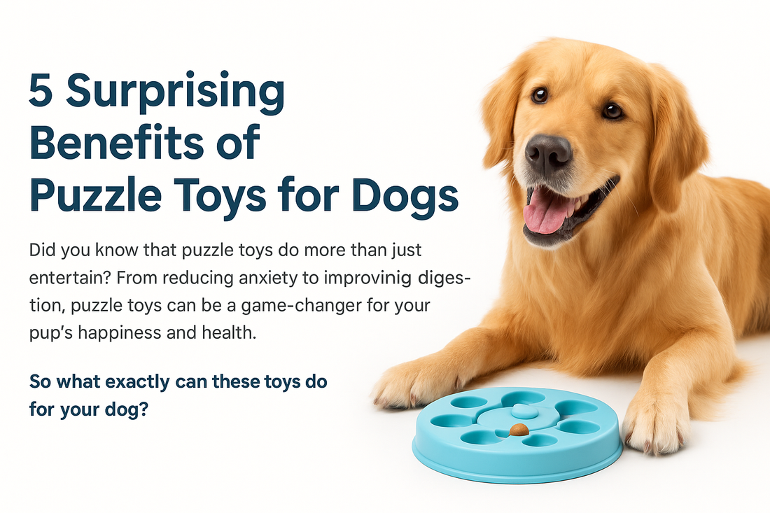 5 Surprising Benefits of Puzzle Toys for Dogs