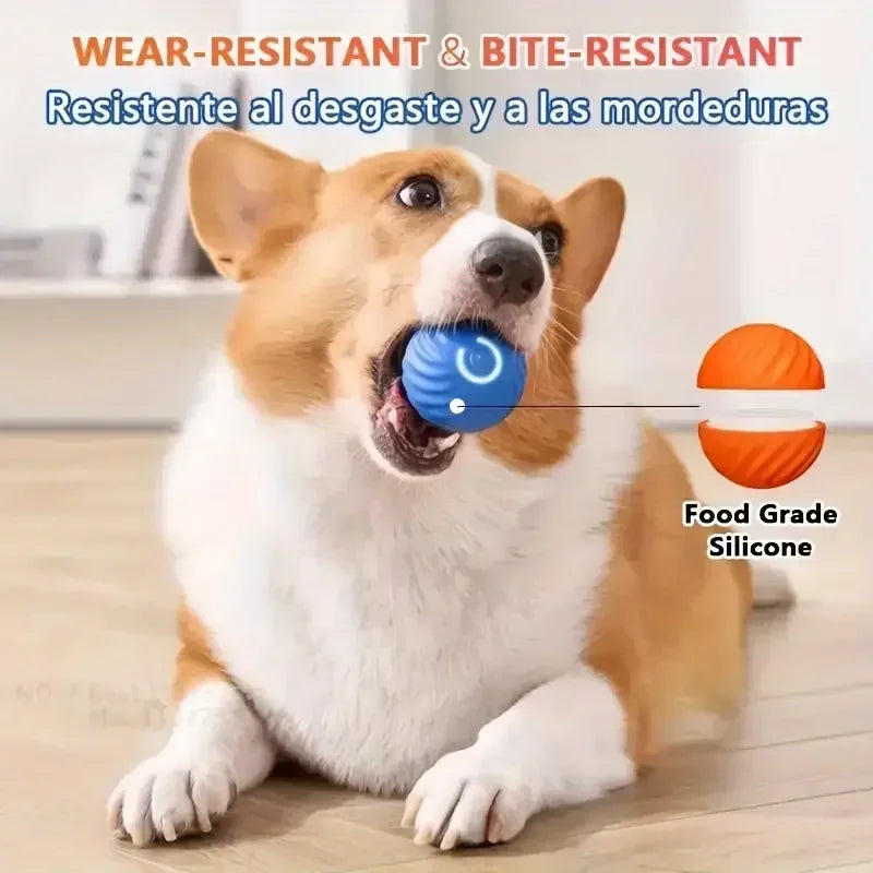 SmartBounce™ Automatic Rolling Dog Ball – USB Rechargeable Interactive Toy for Small & Medium Dogs