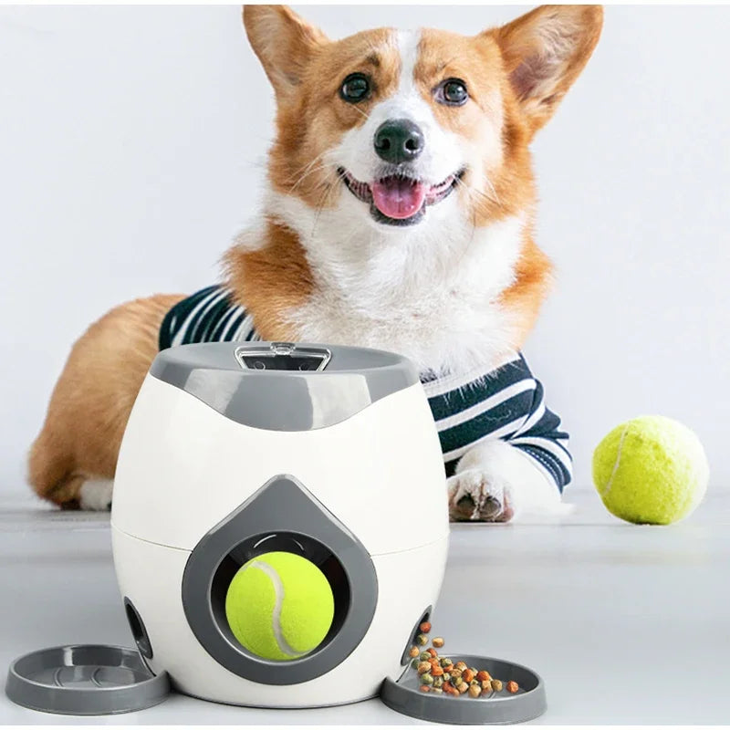 Chewzzle™ Launch & Learn Ball Toy – Interactive Training & Reward Game for Dogs