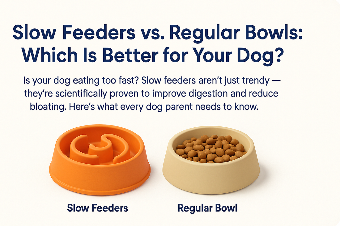 Slow Feeders vs. Regular Bowls: Which Is Better for Your Dog?