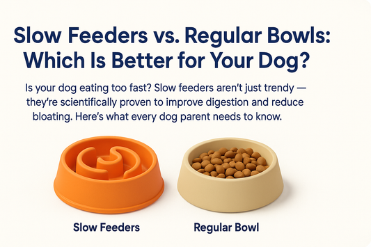 Slow Feeders vs. Regular Bowls: Which Is Better for Your Dog?
