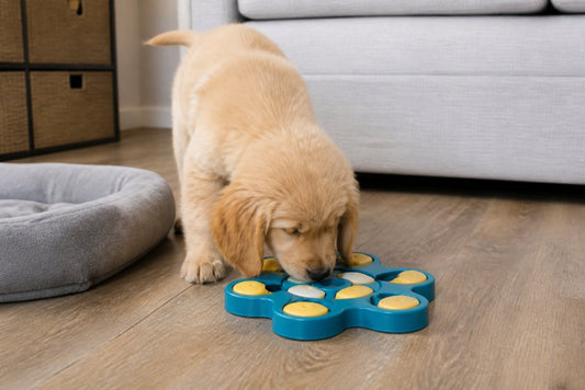 Are Puzzle Toys Safe for Puppies? A Complete Guide