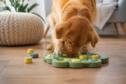 Interactive Dog Toys for Mental Stimulation: 2026 Guide