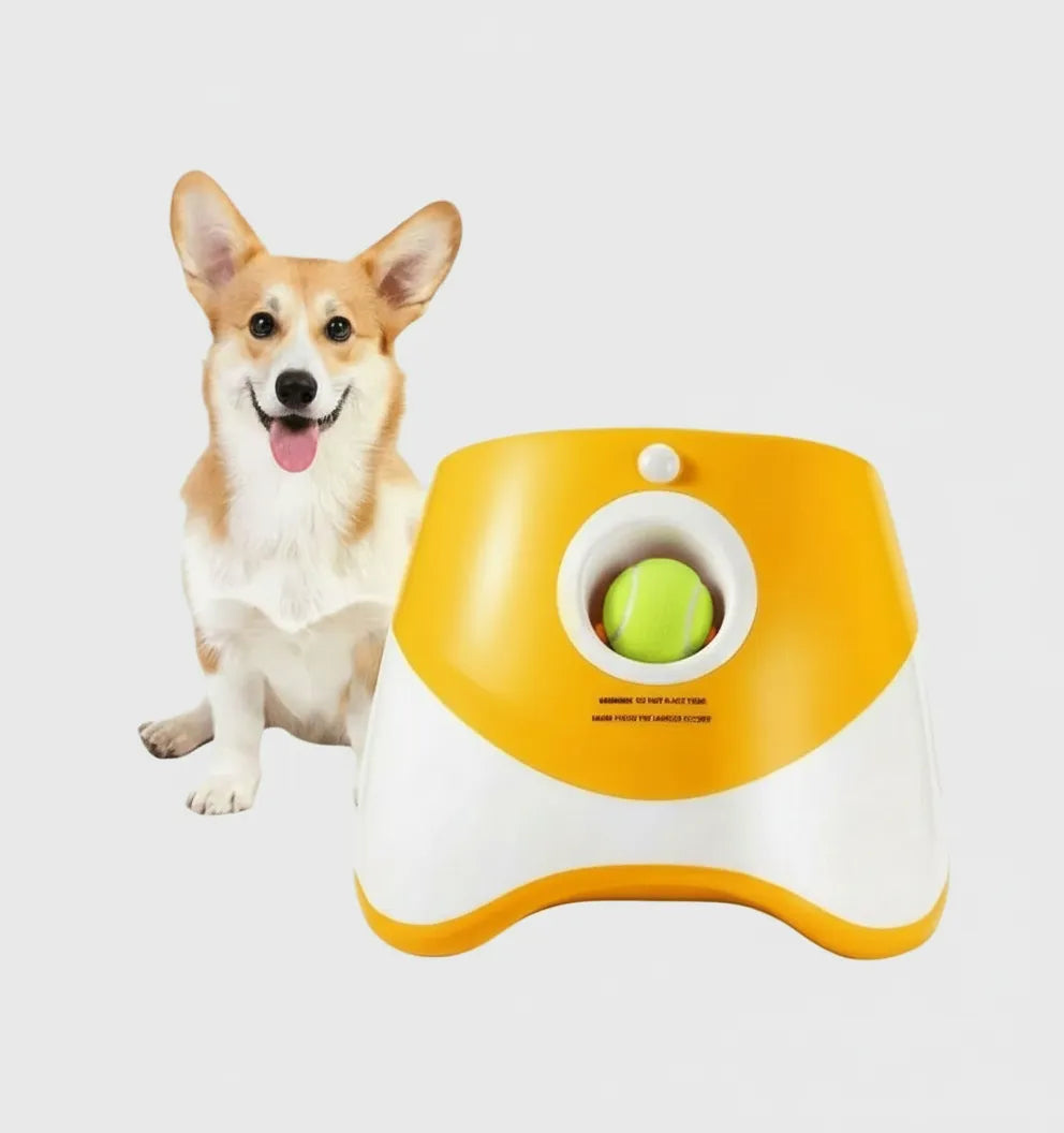 Chewzzle™ Smart Launch and Reward Ball Trainer