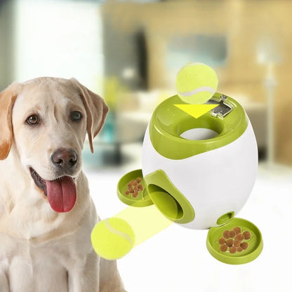 Chewzzle™ Launch & Learn Ball Toy