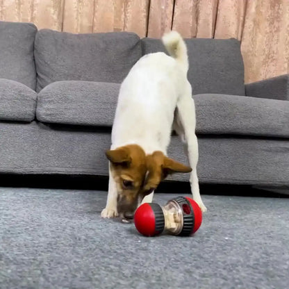 BrainBoost™ Interactive IQ Ball – Treat Dispensing Puzzle Toy for Dogs & Puppies