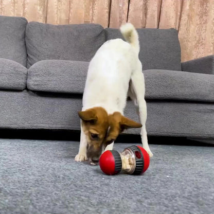 BrainBoost™ Interactive IQ Ball – Treat Dispensing Puzzle Toy for Dogs & Puppies